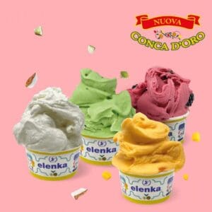 Four cups of gelato in different flavors are displayed on a pink background. The flavors are white, green, purple, and yellow. Each cup is branded "elenka." The "Nuova Conca d'Oro" logo is above the gelato. Small ingredients are scattered around.